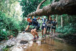 BIB: 
                            <button type="button" onclick="openModal(25370009)" class="btn btn-primary btn-sm float-right btn-popup" data-toggle="modal" data-target=".modal-high-quality">
                        <i class="fas fa-shopping-cart"></i> Add to Cart
                    </button>
                                            <button type="button" onclick="isThisMe(25370009, true)" class="btn btn-success btn-sm float-right btn-popup btn-isme hidden" data-toggle="tooltip" data-placement="bottom" title="นี่คือรูปของคุณใช่ไหม คลิกที่นี่เพื่อเอาเข้าอัลบั้ม">
                        <i class="fas fa-plus"></i> Add to album
                    </button>
                    <button type="button" onclick="isThisMe(25370009, false)" class="btn btn-warning btn-sm float-right btn-popup btn-isnotme hidden">
                        <i class="fas fa-ban"></i> Remove from album
                    </button>